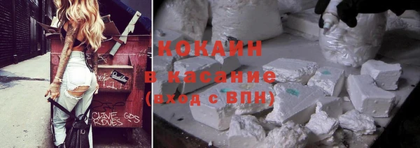 индика Вязьма