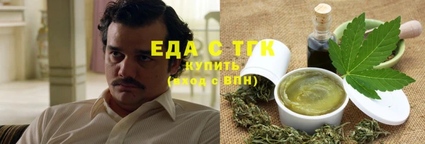 индика Вязьма