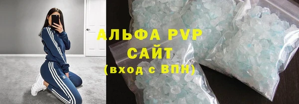 индика Вязьма