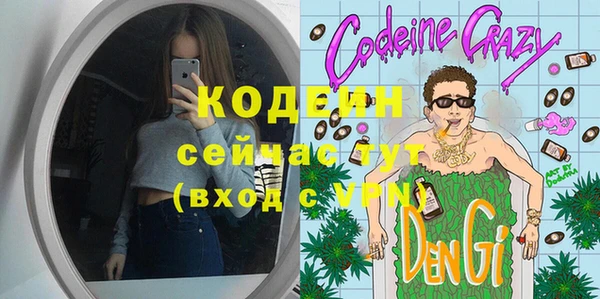 индика Вязьма