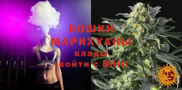 прущие грибы Приозерск