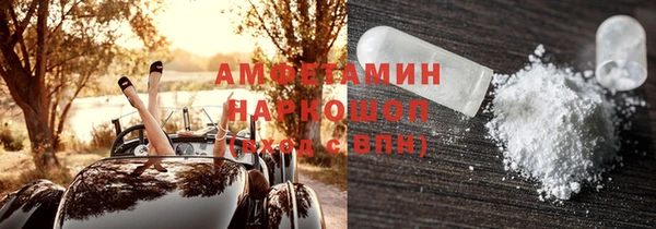 прущие грибы Приозерск