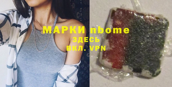 индика Вязьма