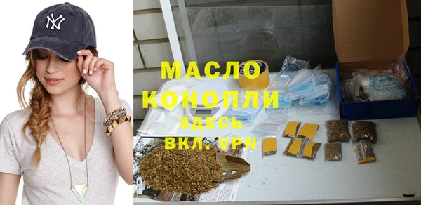 индика Вязьма