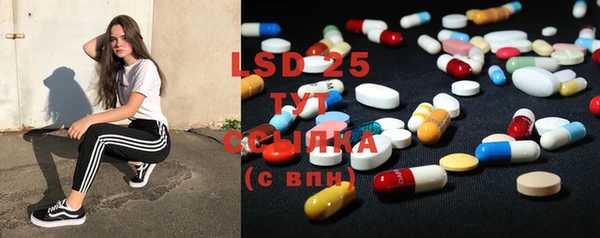 индика Вязьма