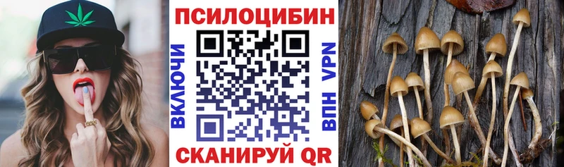 Галлюциногенные грибы Magic Shrooms MEGA ТОР Заринск